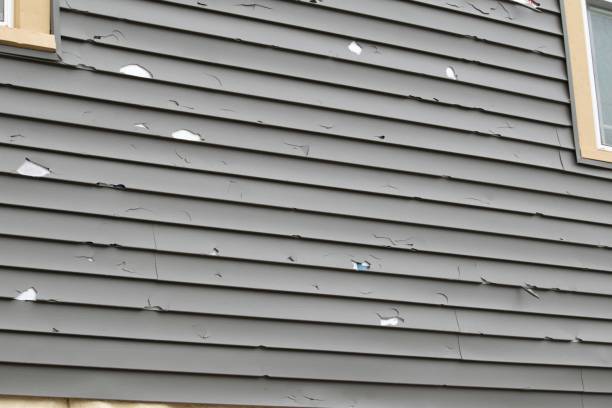 Best Siding Maintenance  in Cedarburg, WI