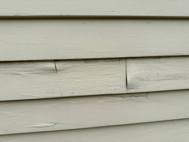 Best Engineered Wood Siding  in Cedarburg, WI